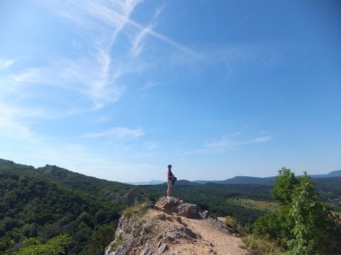 ハンガリーの田舎の裏山