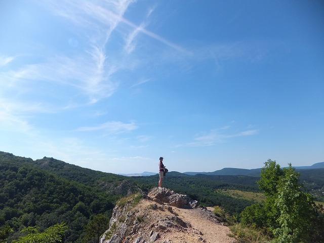 ハンガリーの田舎の裏山