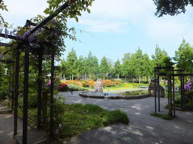 スイス、ベルンのローズガーデン(バラ公園)