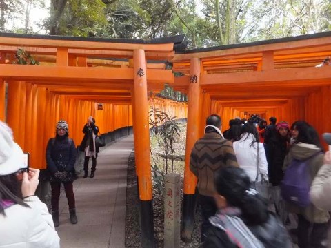 2手に別れる鳥居のトンネル：伏見稲荷大社