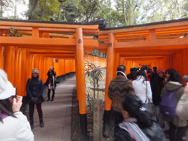 2手に別れる鳥居のトンネル：伏見稲荷大社