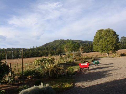 ファームステイ体験(wwoof)：ニュージーランド